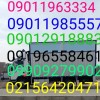 تلفن اتوبار باربری شماره ۲ خلیج فارس  تهرانسر وحوم